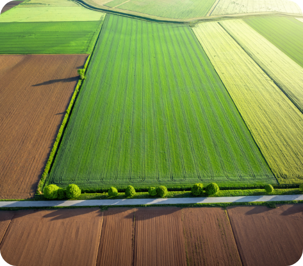 Partner 1 Drohneaufnahme eines gruenen Feldes